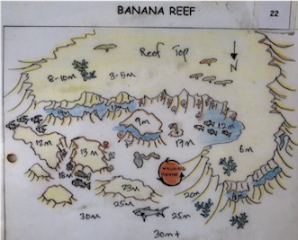 Banana Reef